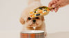 how-much-protein-is-in-dog-food
