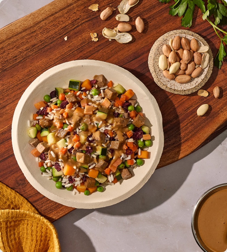 Beef Peanut Satay bowl: fresh dog food with beef, carrots and peas under peanut butter drizzle