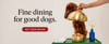 Fine dining for dogs - dog eating fancy food