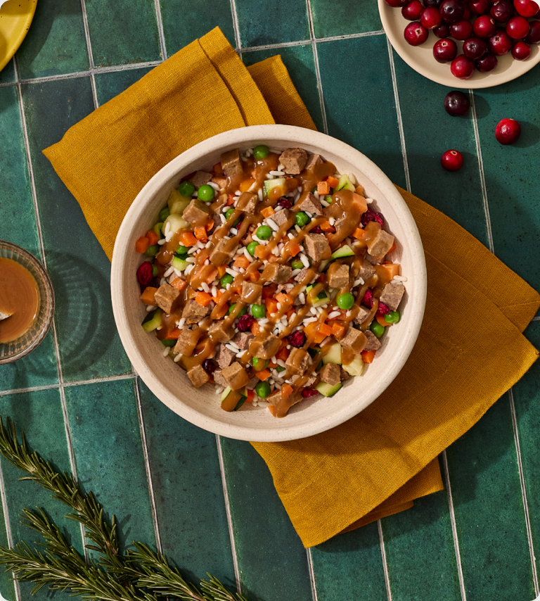 Braised Beef Medley bowl of fresh dog food with beef, peas and carrots under braised beef drizzle