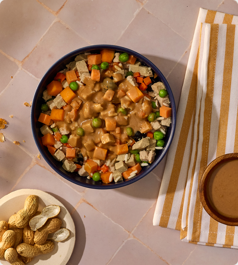 Chicken Peanut Satay bowl of fresh dog food topped with peanut butter drizzle, peas, carrots and sweet potato