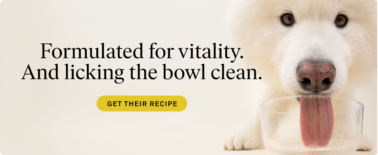 Formulate-for-vitality-desktop.png