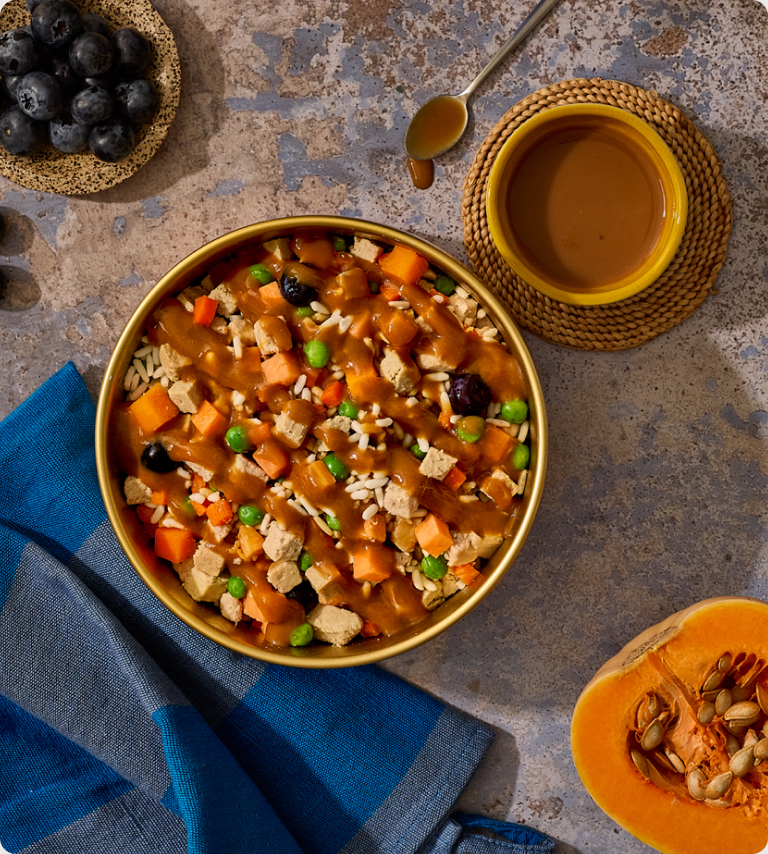 Roast Chicken Medley bowl: fresh dog food with peas, carrots and rice under roast chicken drizzle