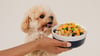 Golden Child Chicken Main & small dog