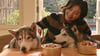 the-best-human-grade-dog-food