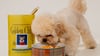 the-best-puppy-food-for-small-breeds