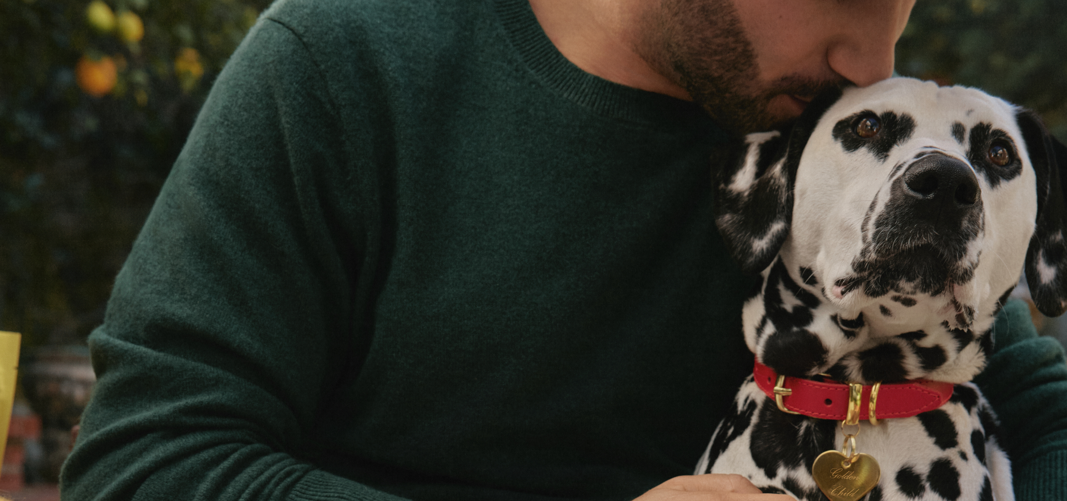 Dog with owner