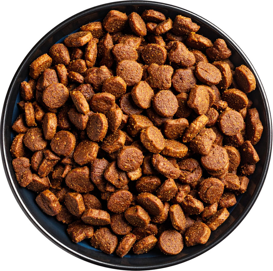 Competitor Kibble