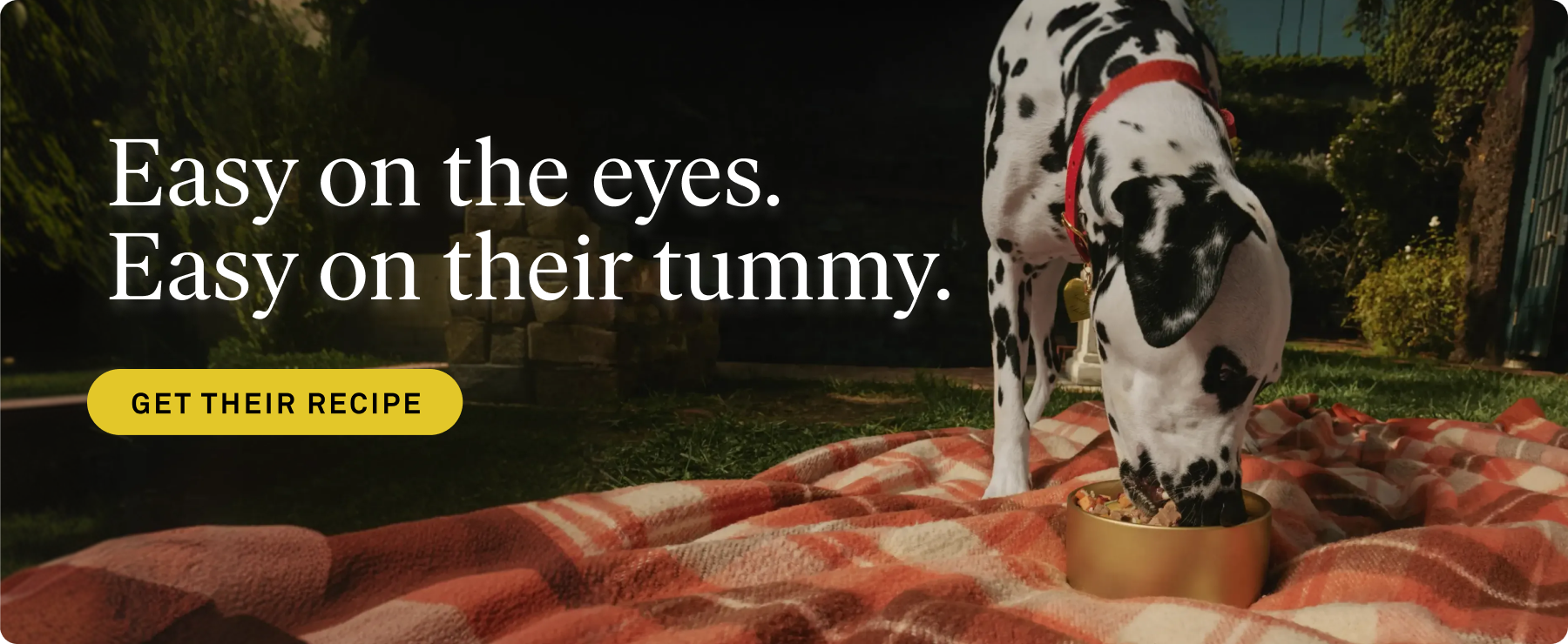 easyontummy_desktopad.png