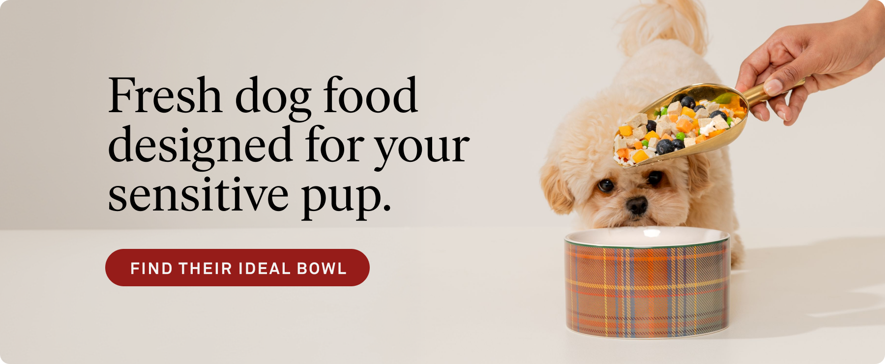 fresh-dog-food-for-your-sensitive-pup-desktop.png