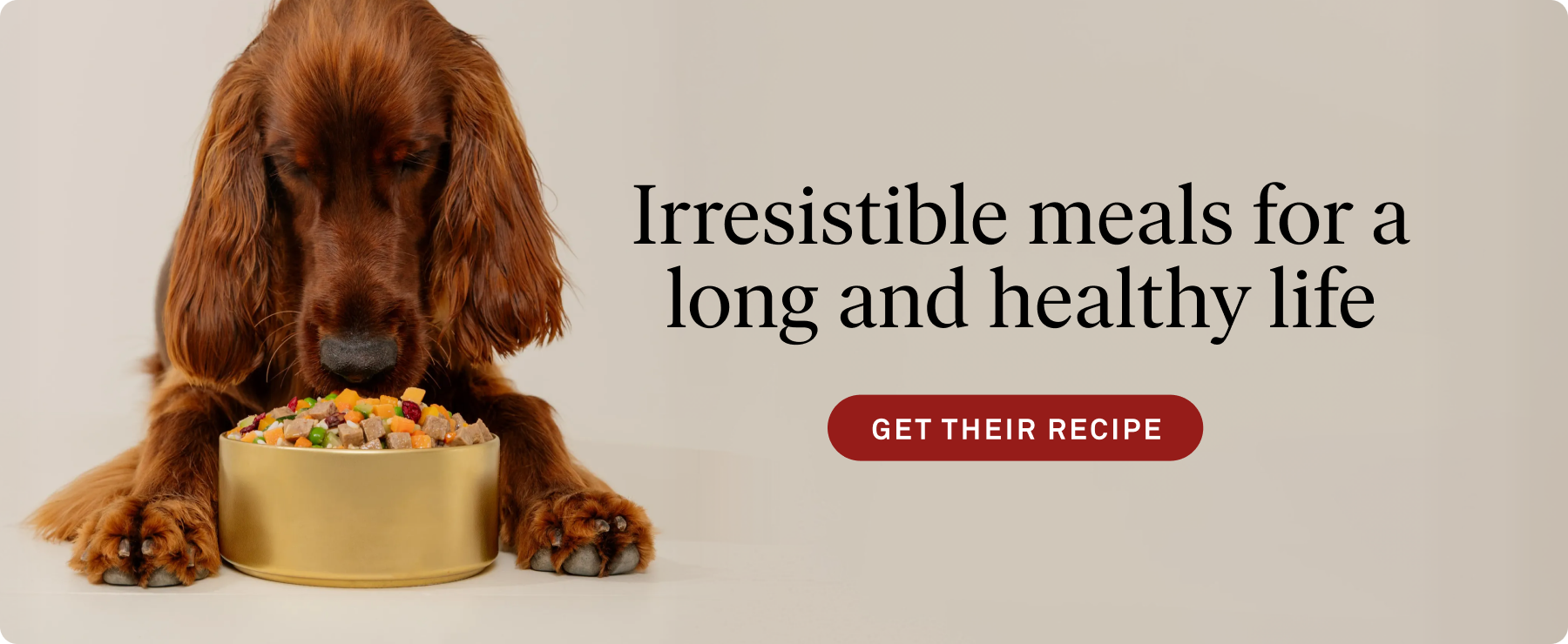 irresistible-meals-for-long-life-destop-ad.png