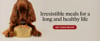 irresistible-meals-for-long-life-destop-ad.png