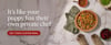 puppy_has_own_chef_desktop_ad-1.png