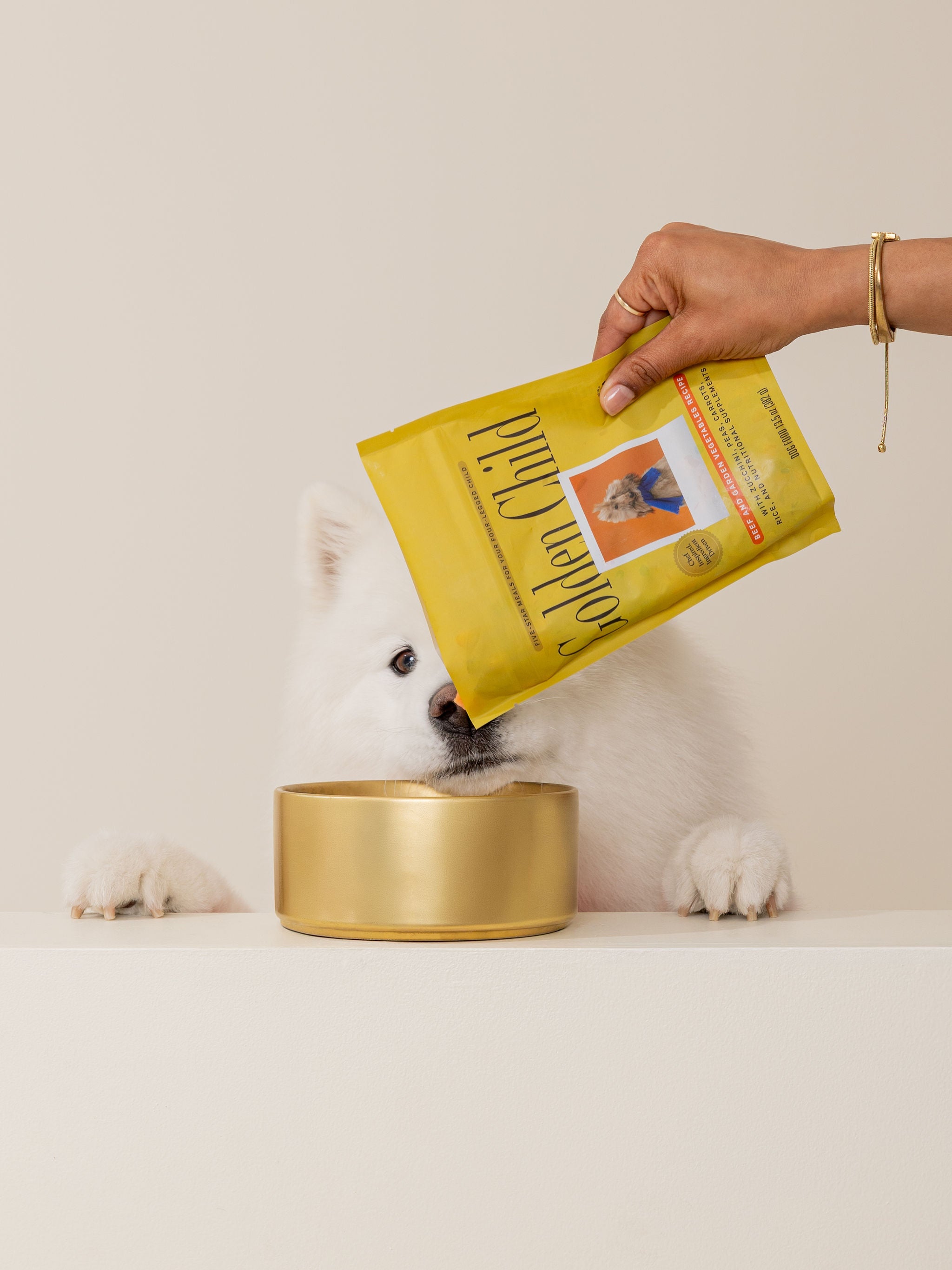 Dog watching bowl be filled with Golden Child main