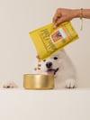 Dog watching bowl be topped with Golden Child drizzle