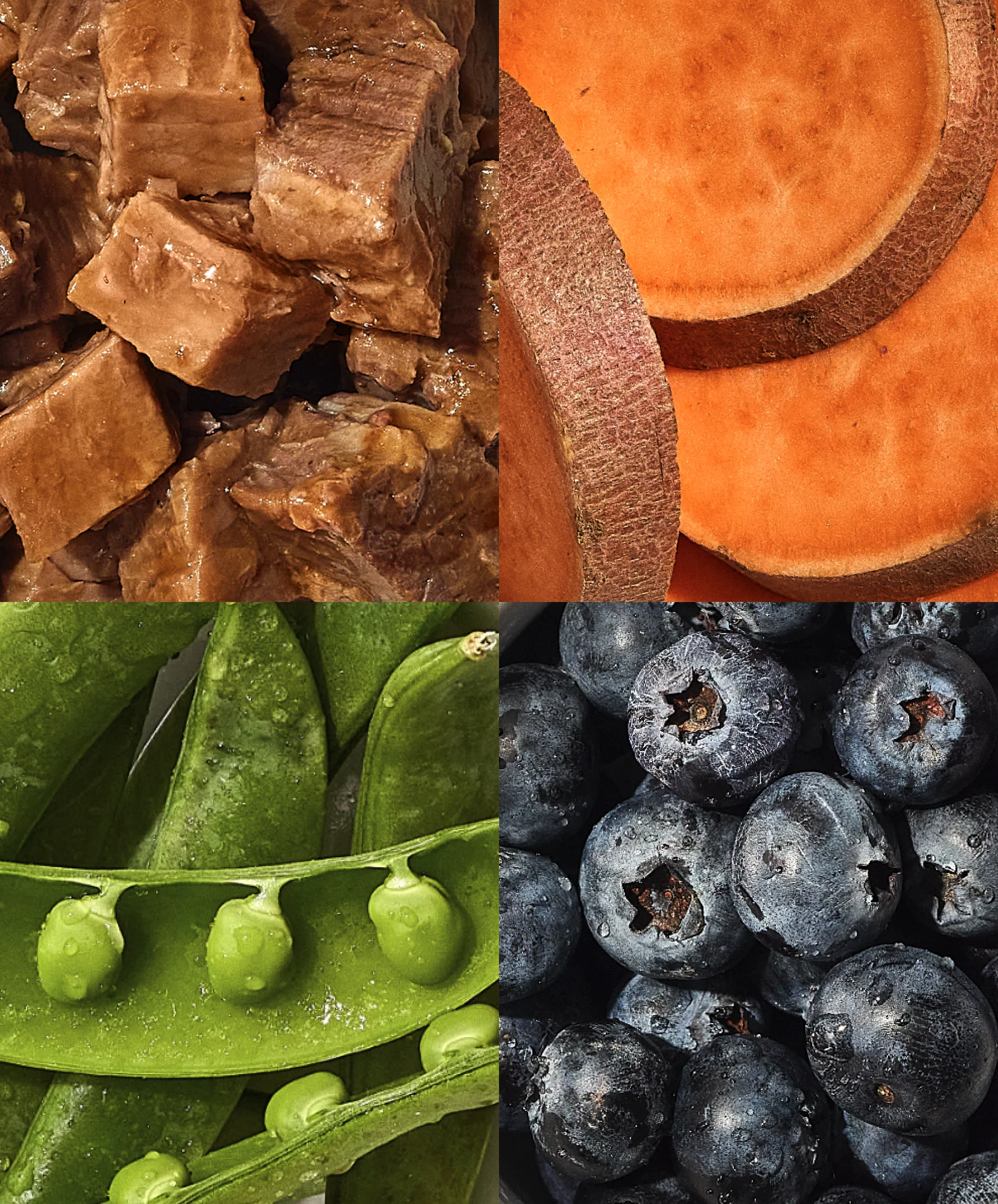Fresh ingredients - meat, sweet potato, peas, and blueberries